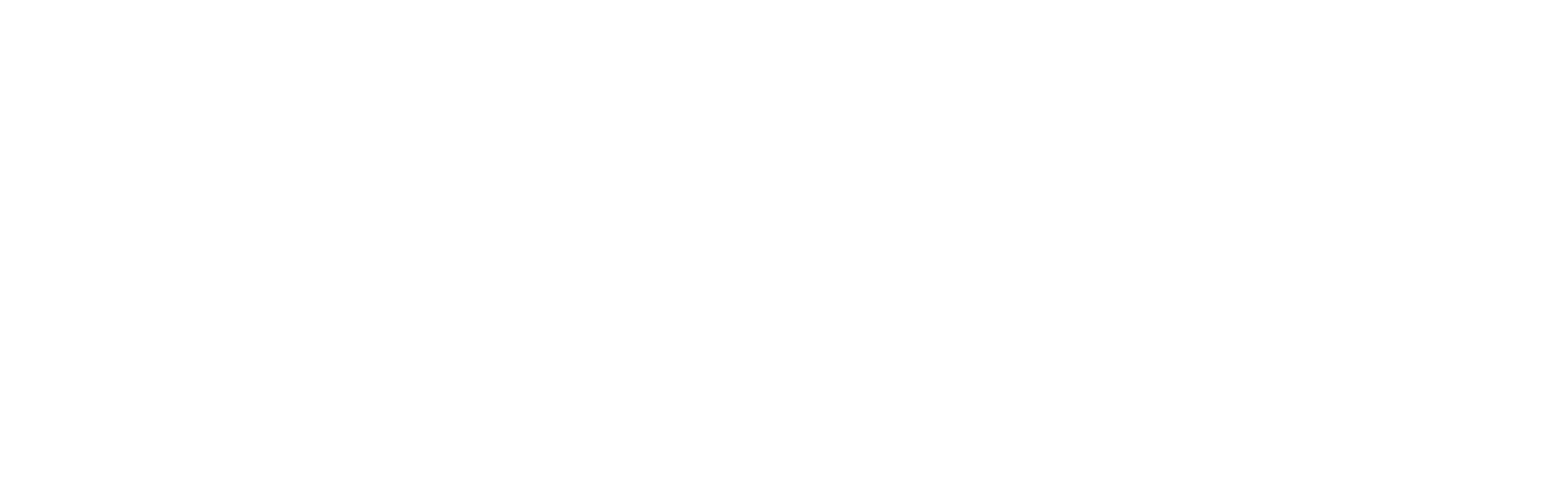 PORTO TELECOM
