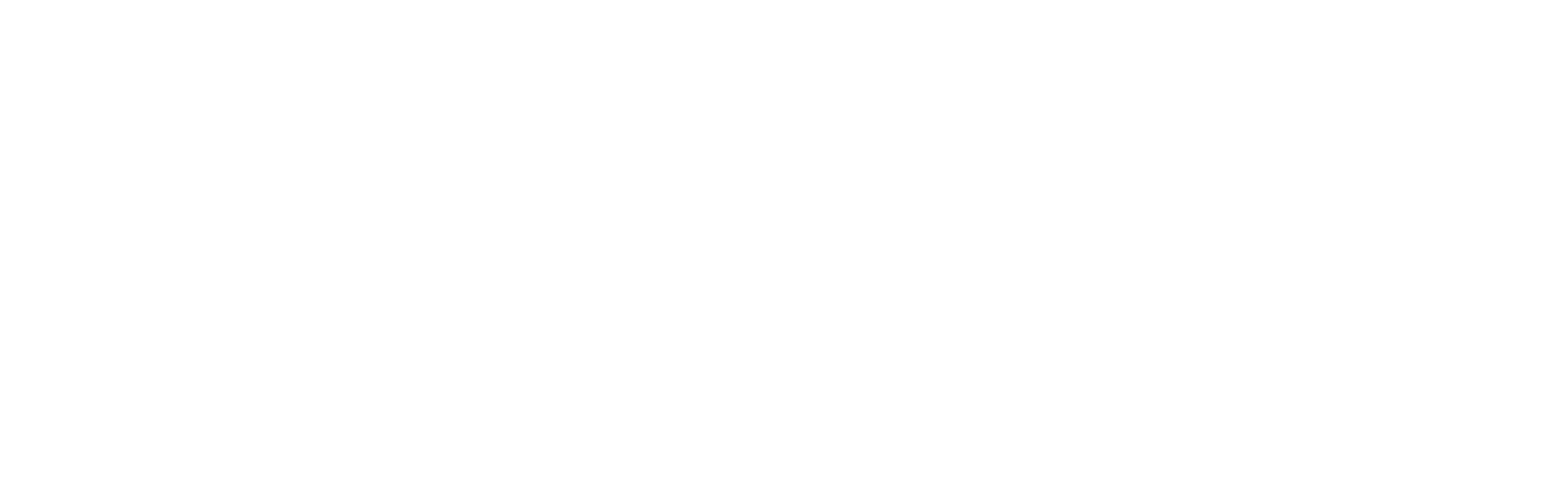 BELLAPIZZA